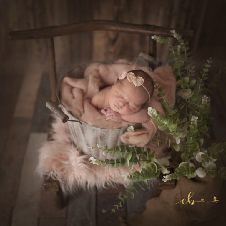 photographe bébé Toulouse