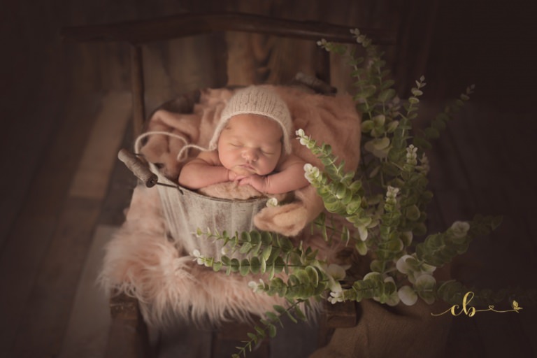 PHOTOGRAPHE NOUVEAU NE TOULOUSE